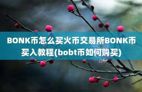 BONK币怎么买火币交易所BONK币买入教程(bobt币如何购买)