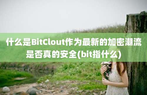 什么是BitClout作为最新的加密潮流是否真的安全(bit指什么)