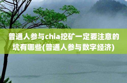 普通人参与chia挖矿一定要注意的坑有哪些(普通人参与数字经济)