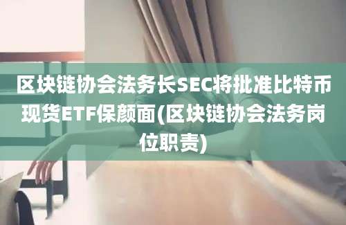 区块链协会法务长SEC将批准比特币现货ETF保颜面(区块链协会法务岗位职责)