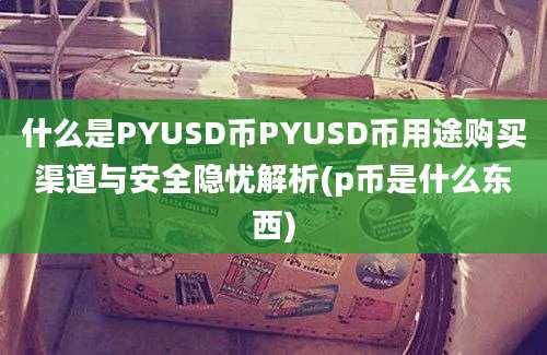 什么是PYUSD币PYUSD币用途购买渠道与安全隐忧解析(p币是什么东西)