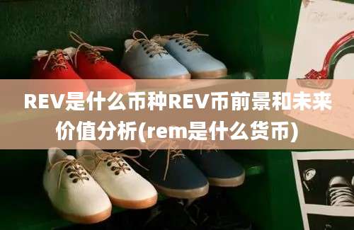 REV是什么币种REV币前景和未来价值分析(rem是什么货币)