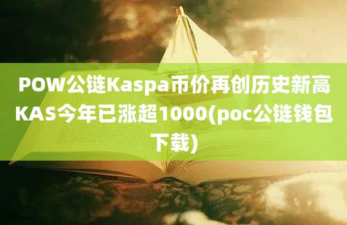 POW公链Kaspa币价再创历史新高KAS今年已涨超1000(poc公链钱包下载)