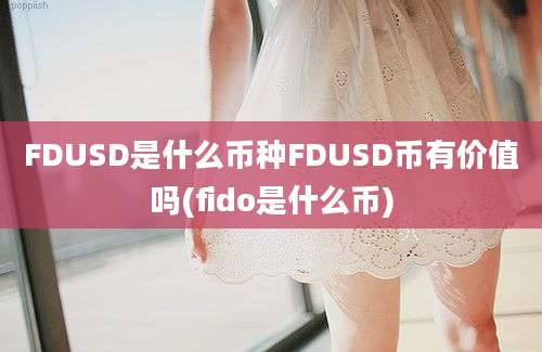 FDUSD是什么币种FDUSD币有价值吗(fido是什么币)