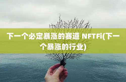 下一个必定暴涨的赛道 NFTFi(下一个暴涨的行业)