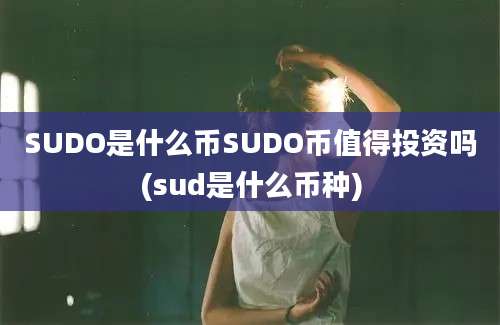 SUDO是什么币SUDO币值得投资吗(sud是什么币种)