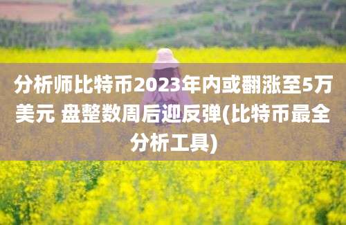 分析师比特币2023年内或翻涨至5万美元 盘整数周后迎反弹(比特币最全分析工具)