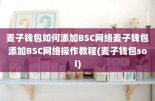 麦子钱包如何添加BSC网络麦子钱包添加BSC网络操作教程(麦子钱包sol)