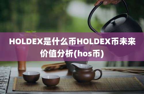 HOLDEX是什么币HOLDEX币未来价值分析(hos币)