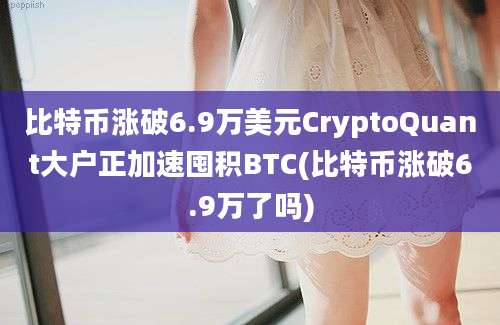 比特币涨破6.9万美元CryptoQuant大户正加速囤积BTC(比特币涨破6.9万了吗)