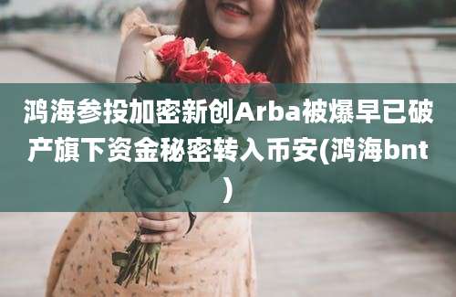 鸿海参投加密新创Arba被爆早已破产旗下资金秘密转入币安(鸿海bnt)