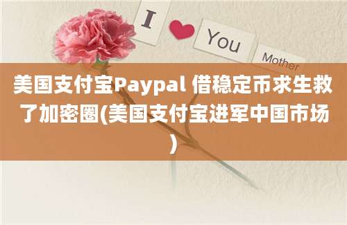 美国支付宝Paypal 借稳定币求生救了加密圈(美国支付宝进军中国市场)