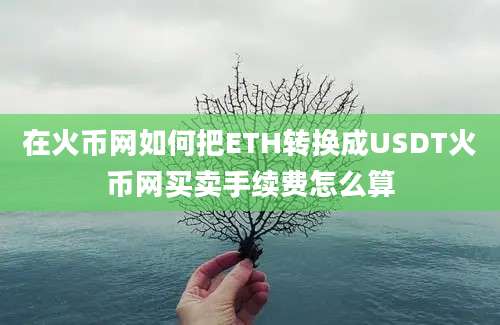 在火币网如何把ETH转换成USDT火币网买卖手续费怎么算