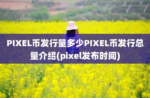 PIXEL币发行量多少PIXEL币发行总量介绍(pixel发布时间)