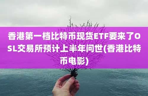 香港第一档比特币现货ETF要来了OSL交易所预计上半年问世(香港比特币电影)