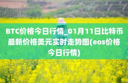 BTC价格今日行情_01月11日比特币最新价格美元实时走势图(eos价格今日行情)