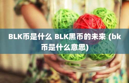 BLK币是什么 BLK黑币的未来 (bk币是什么意思)