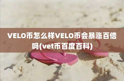 VELO币怎么样VELO币会暴涨百倍吗(vet币百度百科)