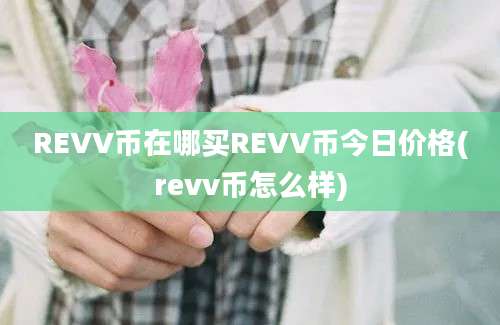 REVV币在哪买REVV币今日价格(revv币怎么样)