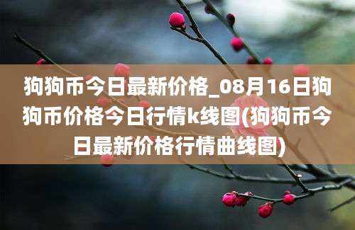 狗狗币今日最新价格_08月16日狗狗币价格今日行情k线图(狗狗币今日最新价格行情曲线图)