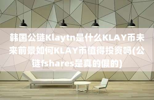 韩国公链Klaytn是什么KLAY币未来前景如何KLAY币值得投资吗(公链fshares是真的假的)