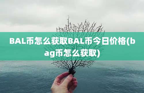 BAL币怎么获取BAL币今日价格(bag币怎么获取)