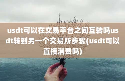 usdt可以在交易平台之间互转吗usdt转到另一个交易所步骤(usdt可以直接消费吗)