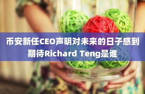 币安新任CEO声明对未来的日子感到期待Richard Teng是谁