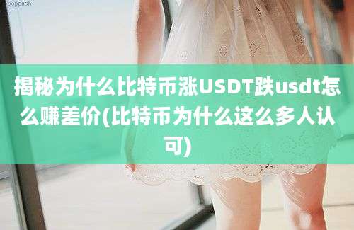 揭秘为什么比特币涨USDT跌usdt怎么赚差价(比特币为什么这么多人认可)