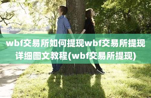 wbf交易所如何提现wbf交易所提现详细图文教程(wbf交易所提现)