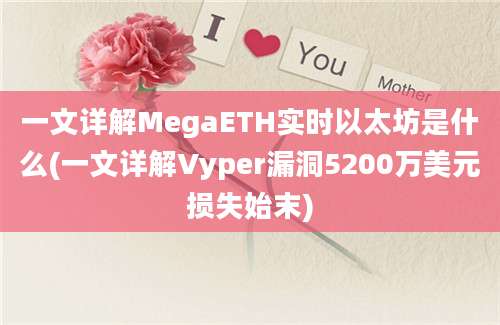 一文详解MegaETH实时以太坊是什么(一文详解Vyper漏洞5200万美元损失始末)