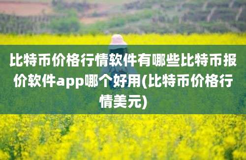 比特币价格行情软件有哪些比特币报价软件app哪个好用(比特币价格行情美元)