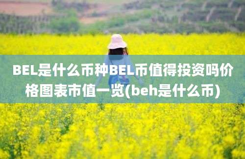 BEL是什么币种BEL币值得投资吗价格图表市值一览(beh是什么币)