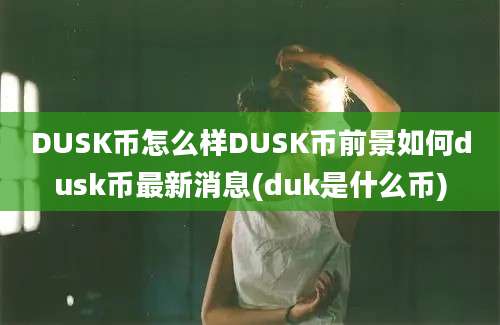 DUSK币怎么样DUSK币前景如何dusk币最新消息(duk是什么币)