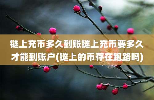 链上充币多久到账链上充币要多久才能到账户(链上的币存在跑路吗)