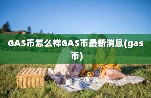 GAS币怎么样GAS币最新消息(gas 币)