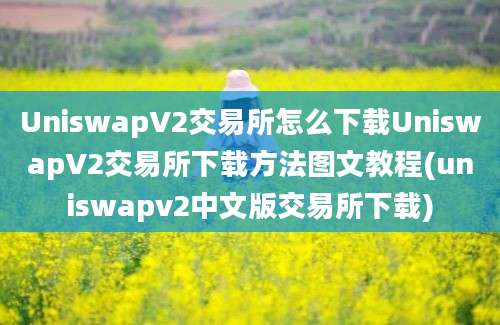 UniswapV2交易所怎么下载UniswapV2交易所下载方法图文教程(uniswapv2中文版交易所下载)