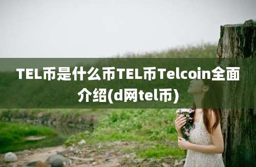 TEL币是什么币TEL币Telcoin全面介绍(d网tel币)