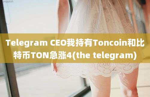 Telegram CEO我持有Toncoin和比特币TON急涨4(the telegram)