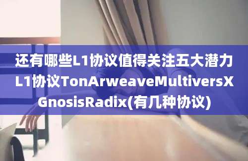 还有哪些L1协议值得关注五大潜力L1协议TonArweaveMultiversXGnosisRadix(有几种协议)