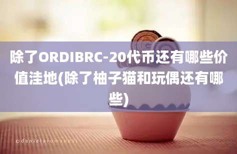 除了ORDIBRC-20代币还有哪些价值洼地(除了柚子猫和玩偶还有哪些)