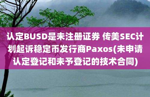 认定BUSD是未注册证券 传美SEC计划起诉稳定币发行商Paxos(未申请认定登记和未予登记的技术合同)