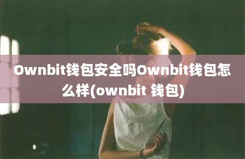 Ownbit钱包安全吗Ownbit钱包怎么样(ownbit 钱包)