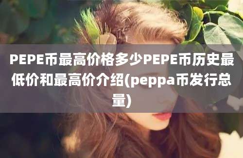 PEPE币最高价格多少PEPE币历史最低价和最高价介绍(peppa币发行总量)