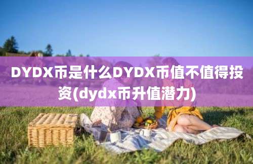 DYDX币是什么DYDX币值不值得投资(dydx币升值潜力)