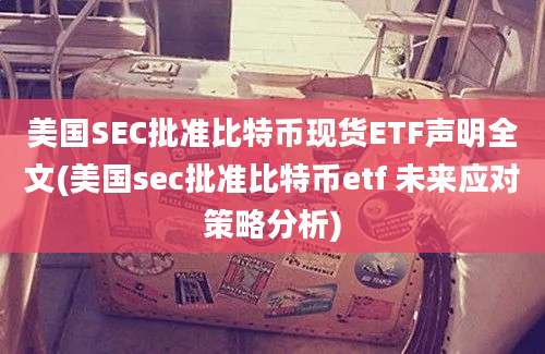 美国SEC批准比特币现货ETF声明全文(美国sec批准比特币etf 未来应对策略分析)