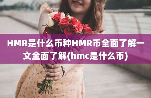 HMR是什么币种HMR币全面了解一文全面了解(hmc是什么币)