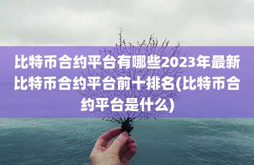 比特币合约平台有哪些2023年最新比特币合约平台前十排名(比特币合约平台是什么)