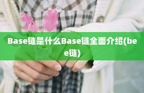 Base链是什么Base链全面介绍(bee链)