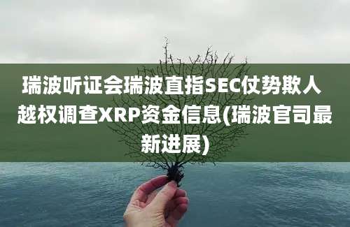 瑞波听证会瑞波直指SEC仗势欺人 越权调查XRP资金信息(瑞波官司最新进展)